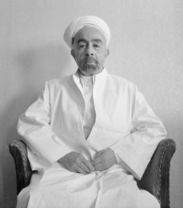 Abd al-'Aziz Fahmi